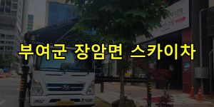 부여군 장암면 스카이차 24시간 출동 아자스카이