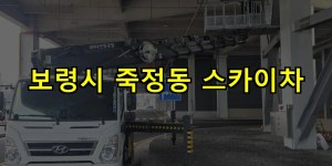 보령시 죽정동 스카이차 24시간 출동 아자스카이