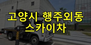 고양시 행주외동 스카이차 24시간 출동 아자스카이