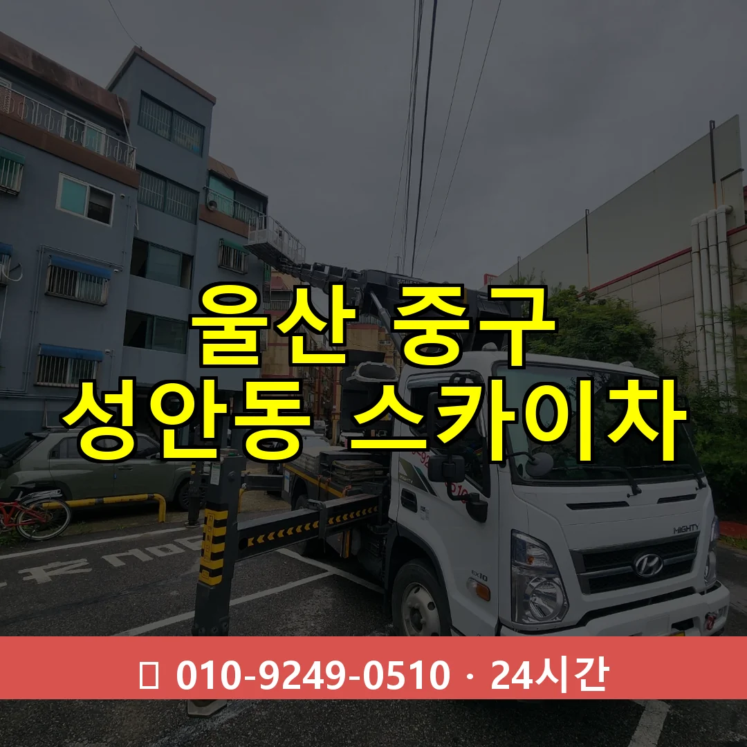 울산 중구 성안동 스카이차 24시간 즉시 출동