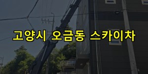 고양시 오금동 스카이차 24시간 출동 아자스카이
