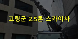 고령군 2.5톤 스카이차 24시간 출동 아자스카이