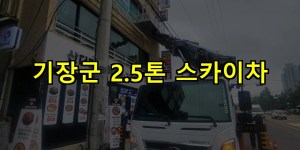 기장군 2.5톤 스카이차 24시간 출동 아자스카이