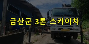 금산군 3톤 스카이차 24시간 출동 아자스카이