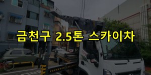 금천구 2.5톤 스카이차 24시간 출동 아자스카이