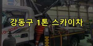강동구 1톤 스카이차 24시간 출동 아자스카이