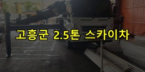 고흥군 2.5톤 스카이차 24시간 출동 아자스카이