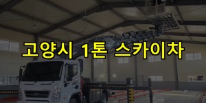 고양시 1톤 스카이차 24시간 출동 아자스카이