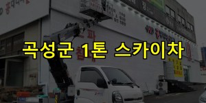 곡성군 1톤 스카이차 24시간 출동 아자스카이
