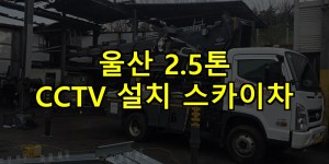 울산 2.5톤 CCTV 설치 스카이차 24시간 출동 아자스카이