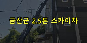 금산군 2.5톤 스카이차 24시간 출동 아자스카이