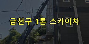 금천구 1톤 스카이차 24시간 출동 아자스카이
