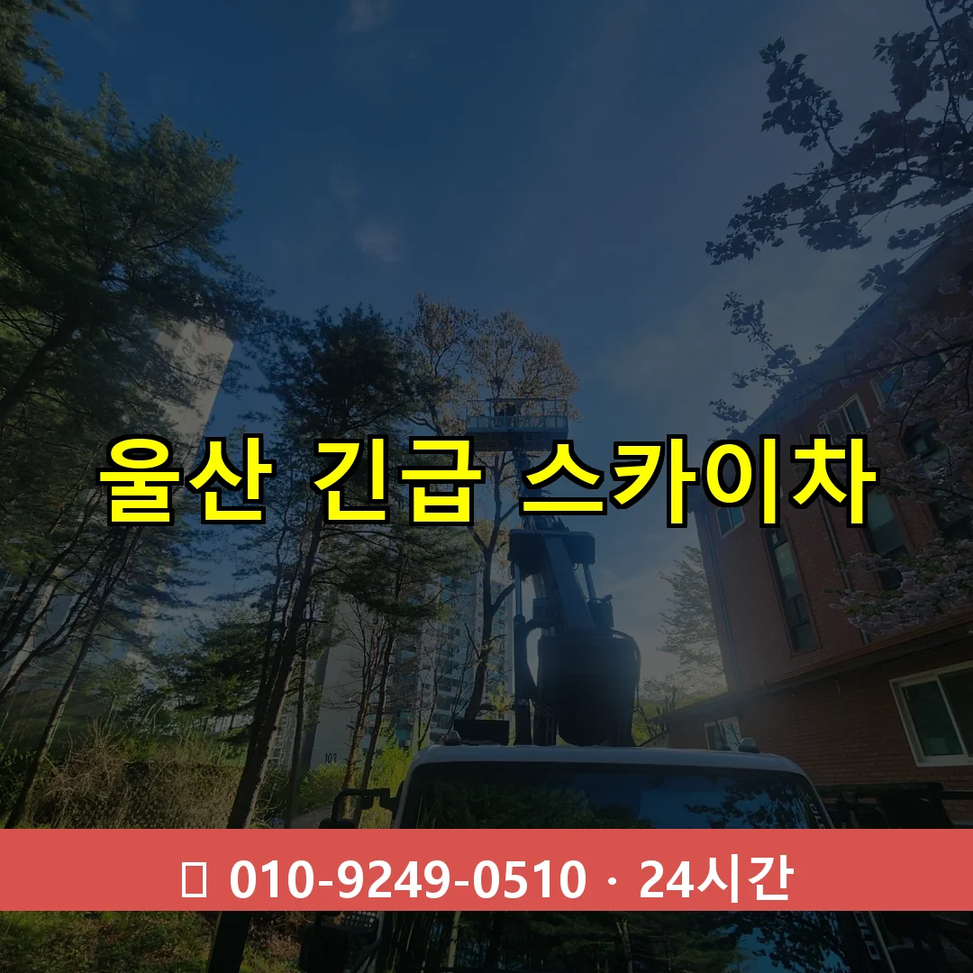 울산 긴급 스카이차 24시간 출동 - 1톤~3톤 아자스카이 1 울산 긴급 스카이차 24시간 즉시 출동