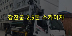 강진군 2.5톤 스카이차 24시간 출동 아자스카이