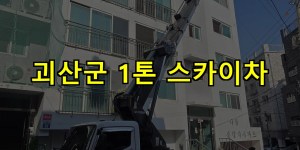 괴산군 1톤 스카이차 24시간 출동 아자스카이