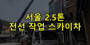 서울 2.5톤 전선 작업 스카이차 24시간 출동 아자스카이