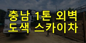 충남 1톤 외벽 도색 스카이차 24시간 출동 아자스카이