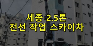 세종 2.5톤 전선 작업 스카이차 24시간 출동 아자스카이