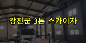 강진군 3톤 스카이차 24시간 출동 아자스카이